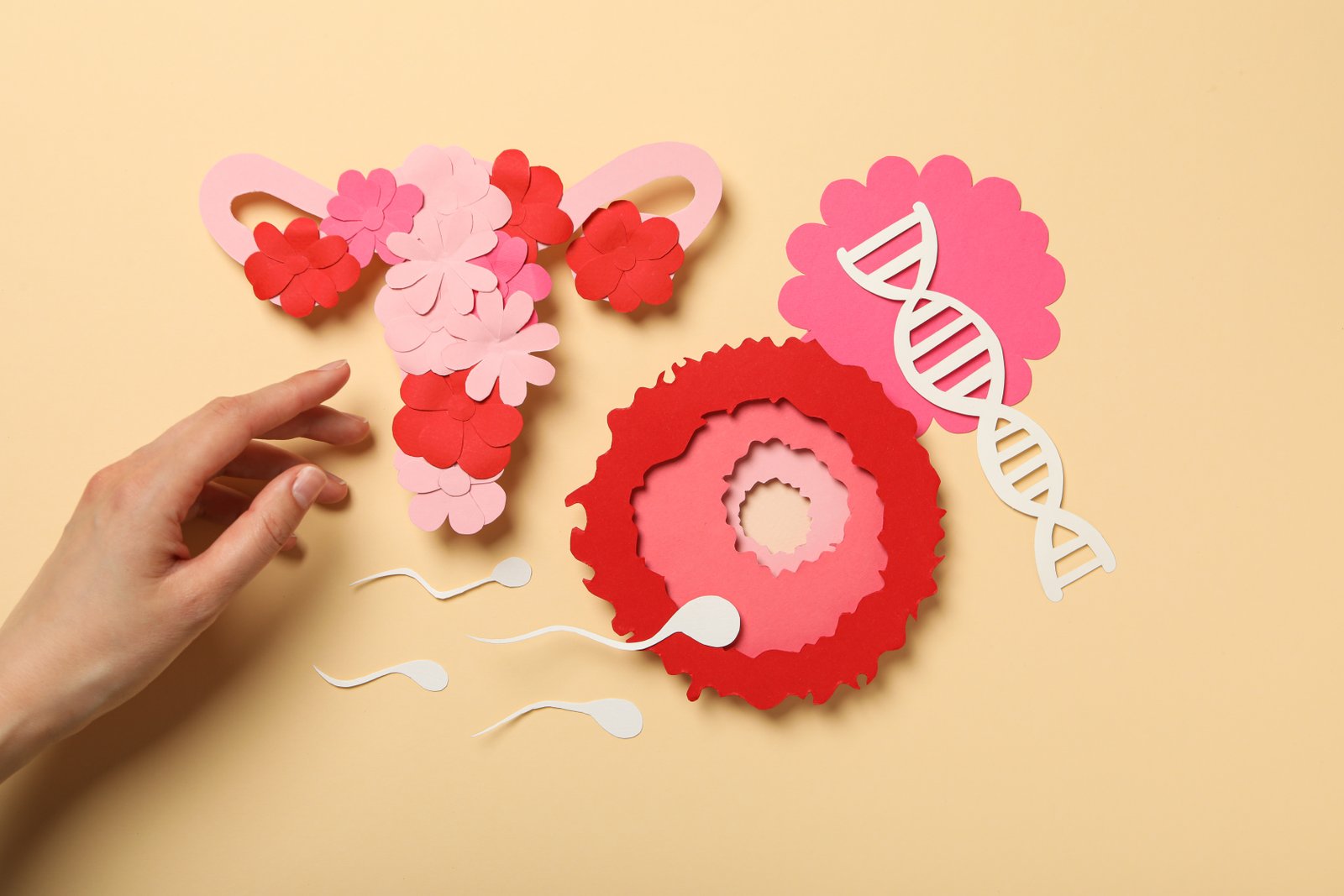 Endometrium Kanseri Genetik midir? Ailede Rahim Kanseri Olanlar Nelere Dikkat Etmelidir?